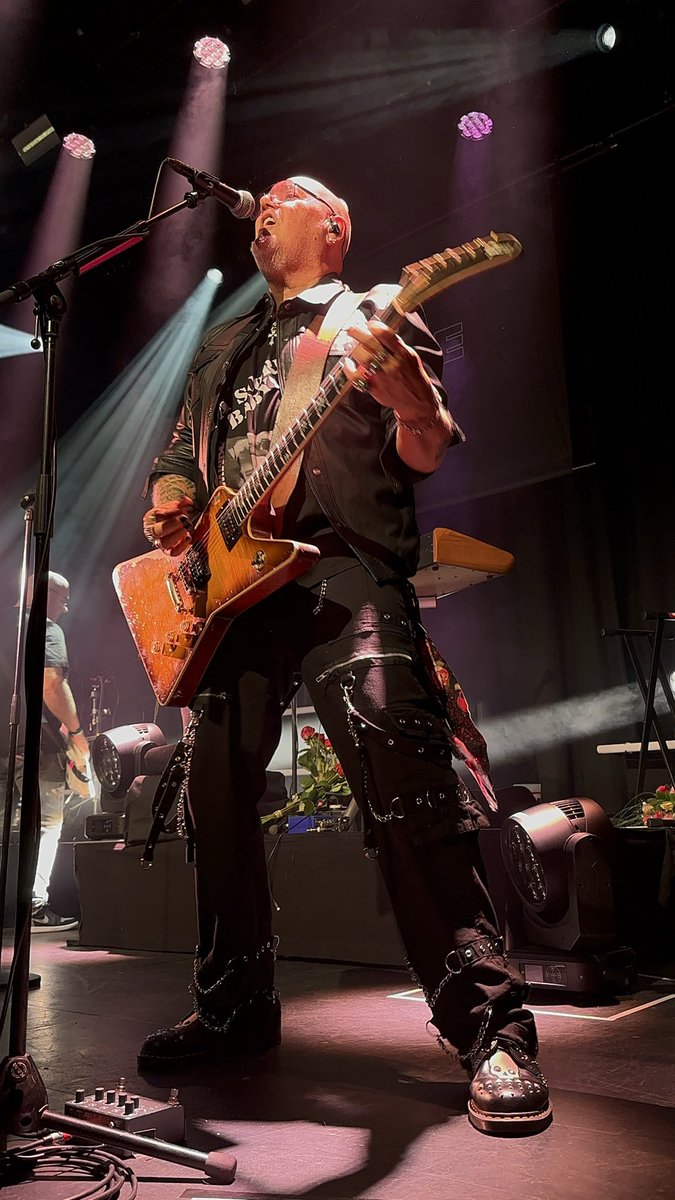 Fancy antlers (Floors version)✨ tweet media