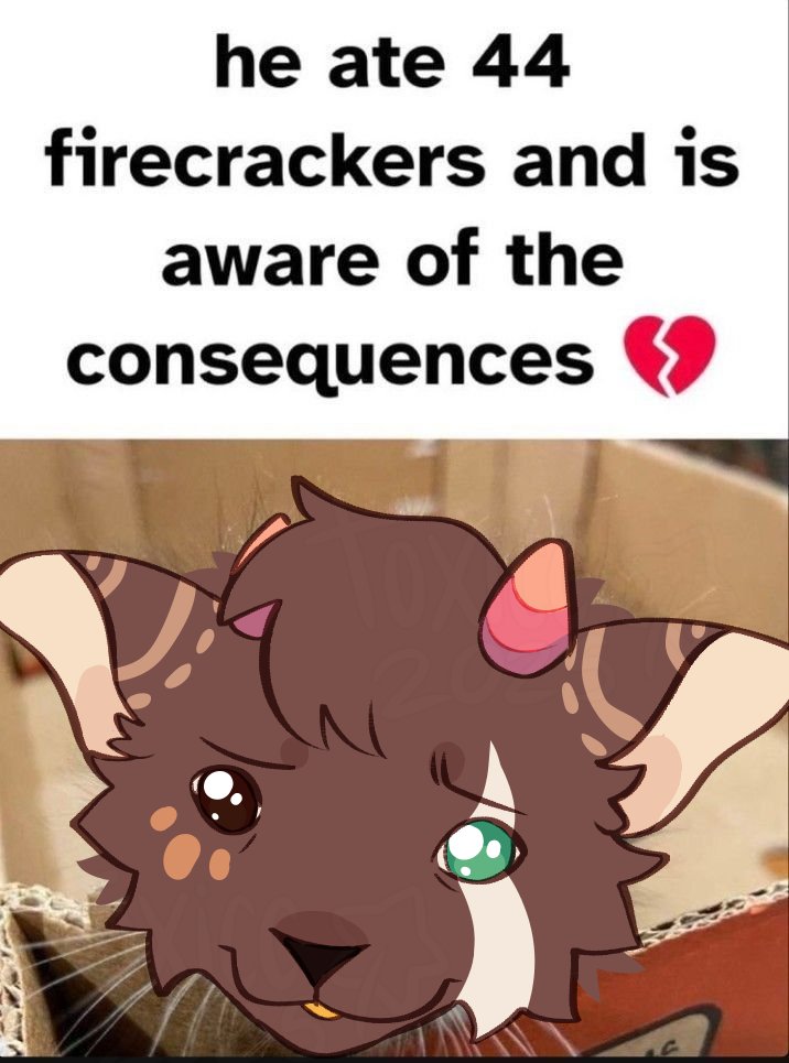 the last few days have been crazy