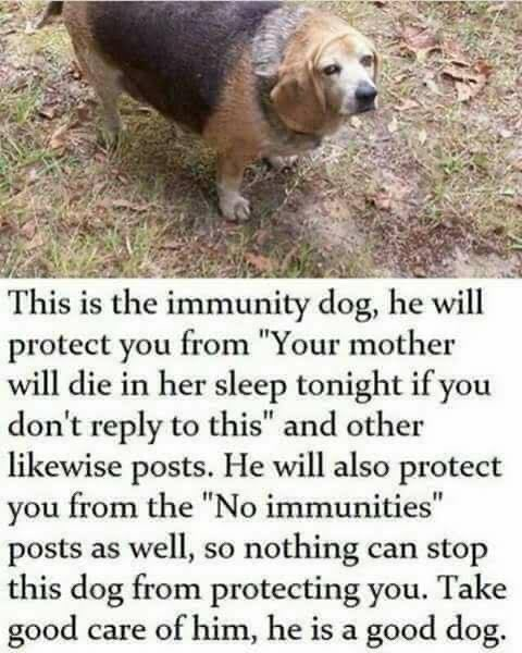 525mtfld tweet media