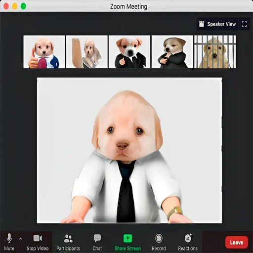 ceolockedin's tweet image. board meeting in progress. everyone saying “pay dex.”

we nodded, took notes, said “we’re on it.”

morale’s at an all-time high.