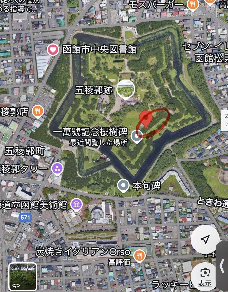 猫猫 * ॑꒳ ॑)っ━⋆✩｡˚ on X