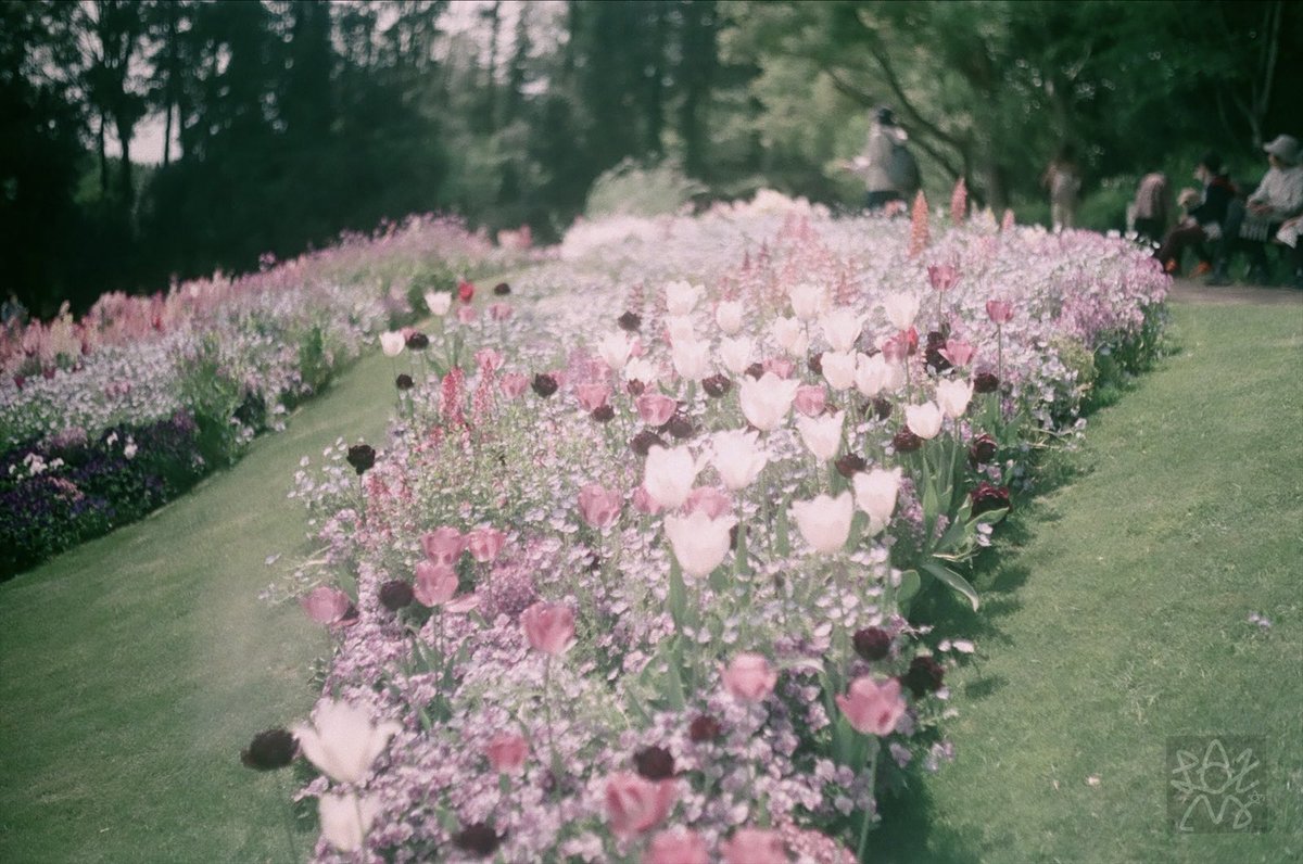 🟠くらかめれっど🟠 on X