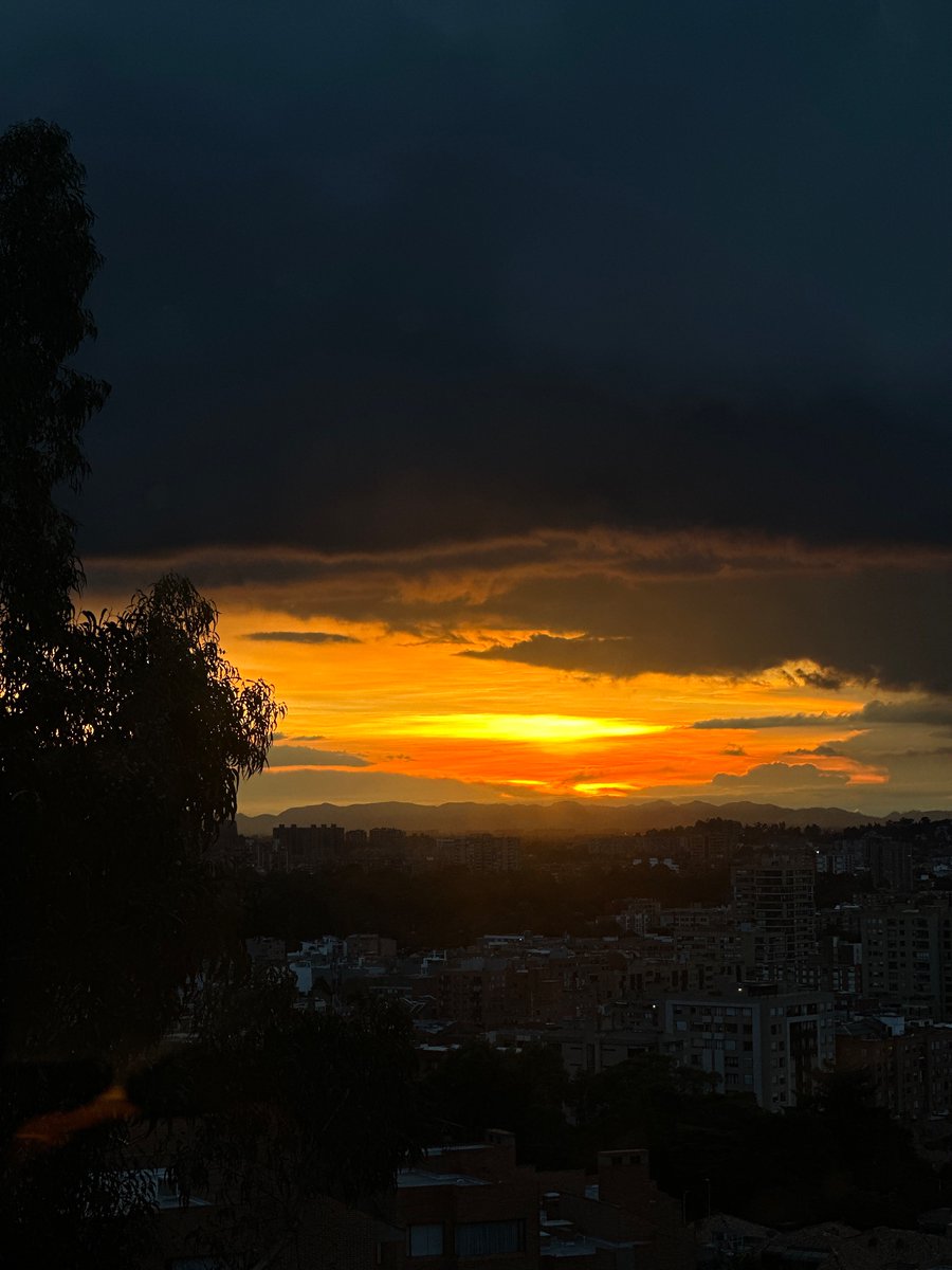 Gracias Bogotá ❤️‍🔥🇨🇴 Guayaquil y Quito allá vamos🙏🏼