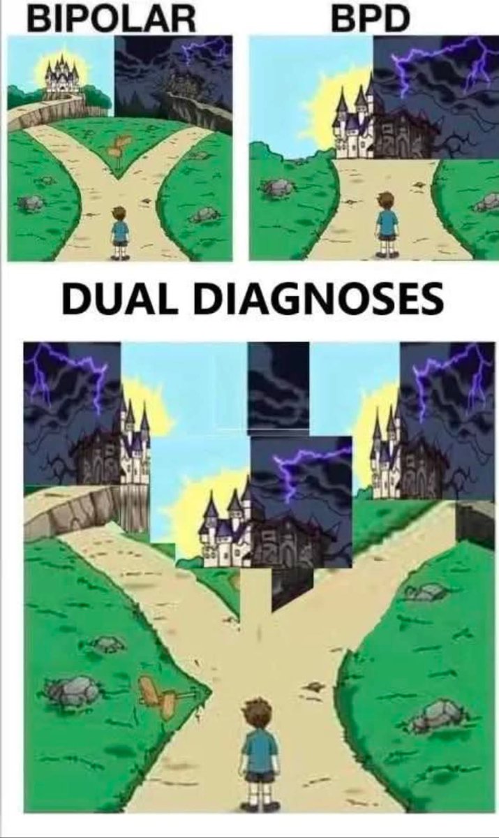 bipocdnerdgirl's tweet image. Bipolar and EUPD together...

#bipolar #eupd #bpd #borderline