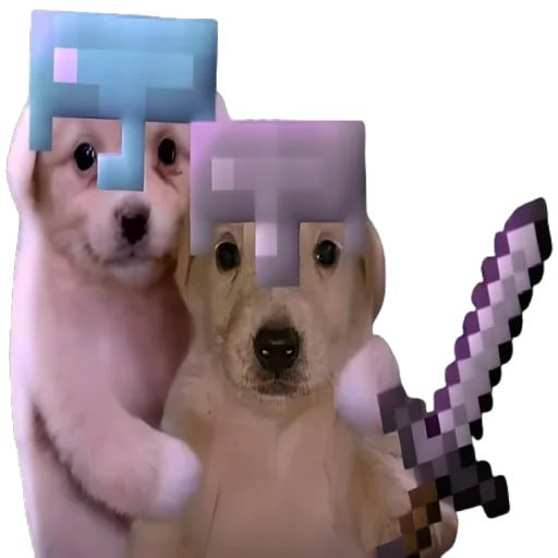 ceolockedin's tweet image. welcome to the community bros