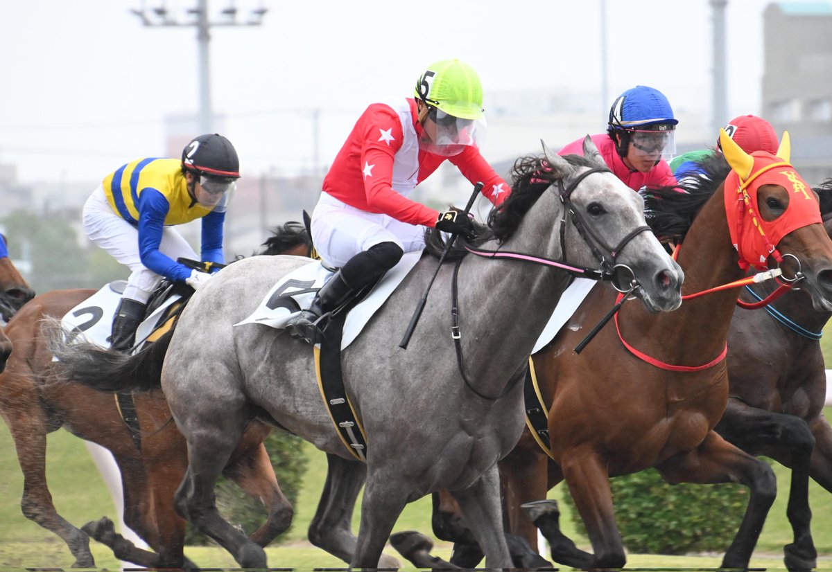 馬のディッシュ なかちぃ on X