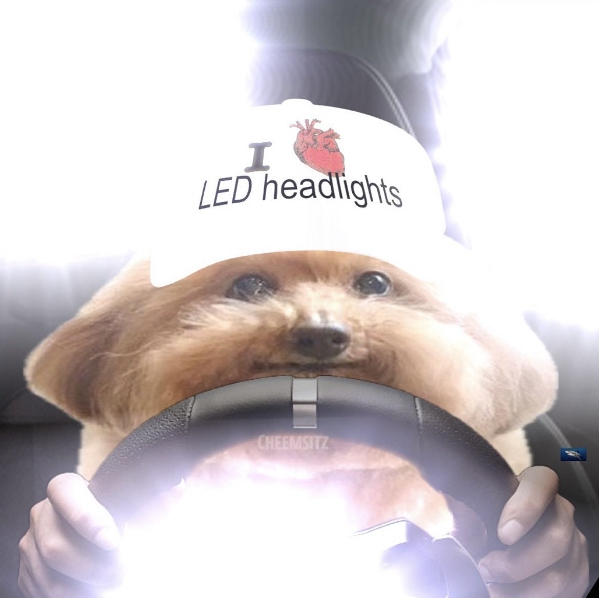 ddddddddddd tweet media