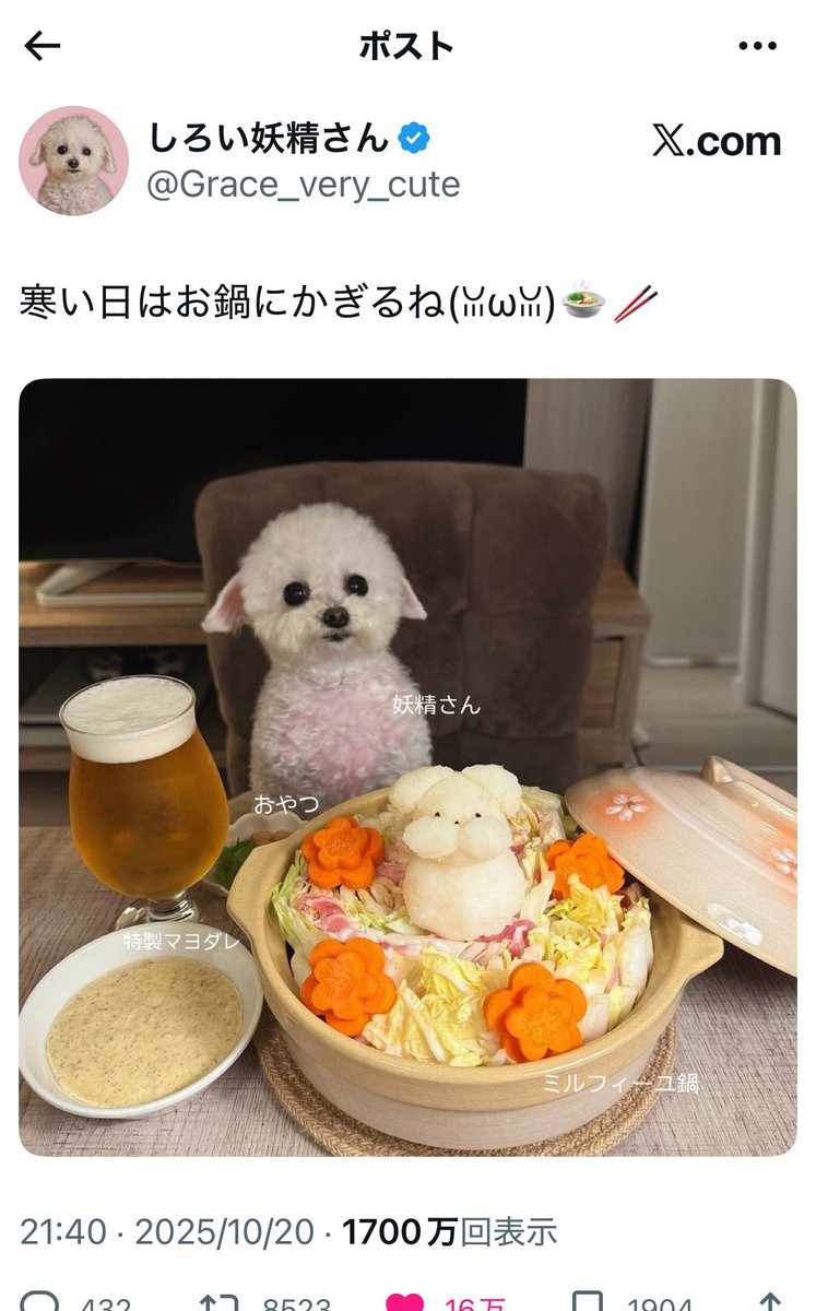 こぶたちゃん tweet media
