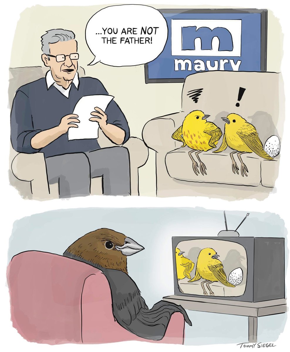 Only true birders will get this. It made me laugh out loud—😝😜