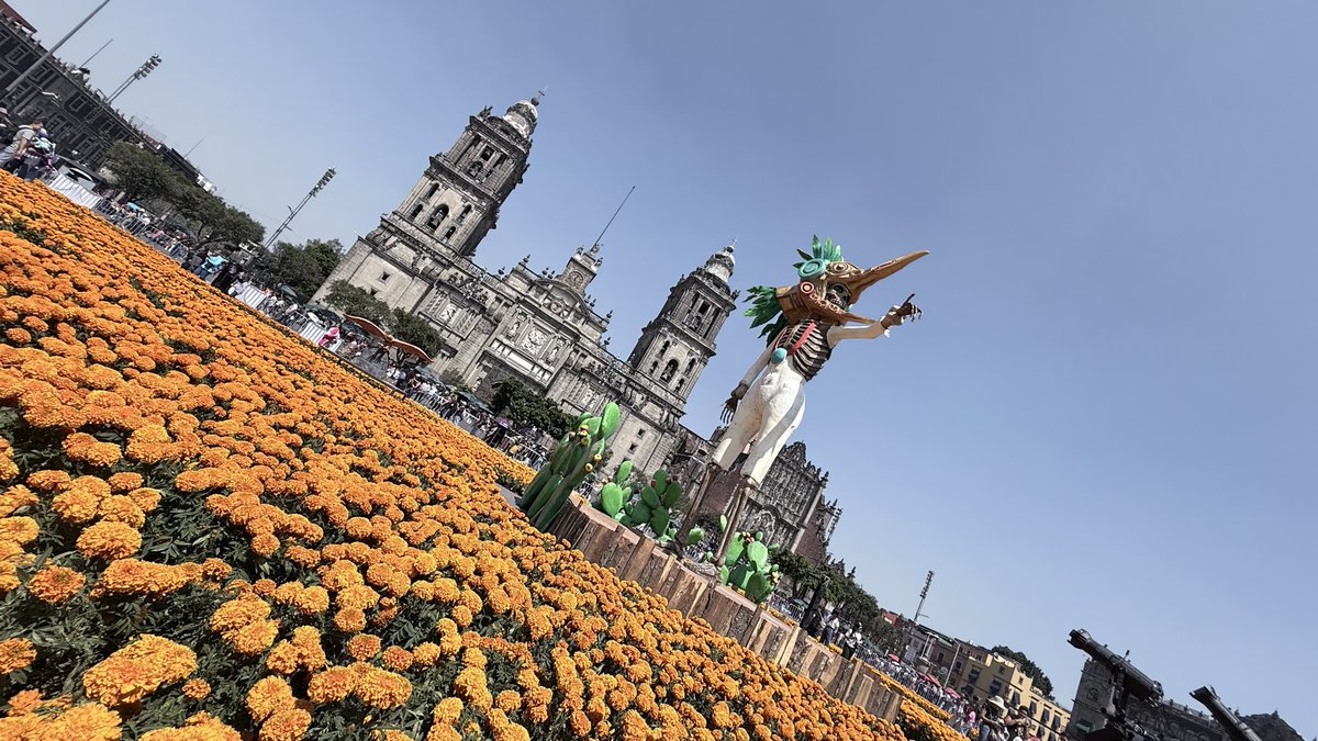 VibranteMorelos's tweet photo. Así luce la impresionante #Megaofrenda en el Zócalo de la Ciudad de México 🇲🇽 💀🌸🌼 https://t.co/NBTX0JhyC3
