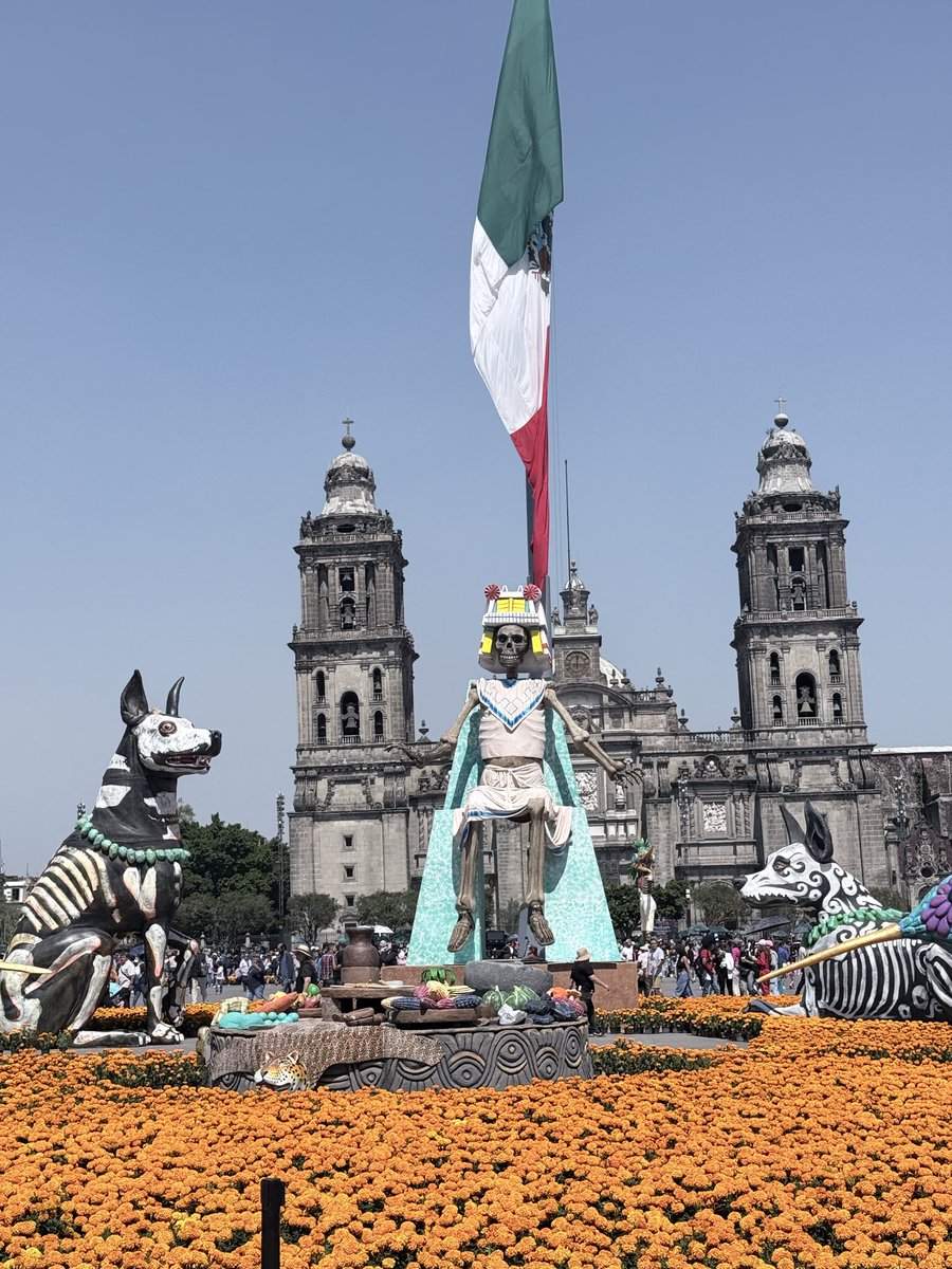 VibranteMorelos's tweet photo. Así luce la impresionante #Megaofrenda en el Zócalo de la Ciudad de México 🇲🇽 💀🌸🌼 https://t.co/NBTX0JhyC3