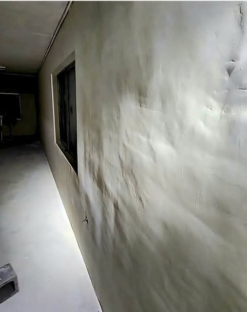 DecoratorsU's tweet image. Anyone have a magic wand handy?

#decorators #magic #walls