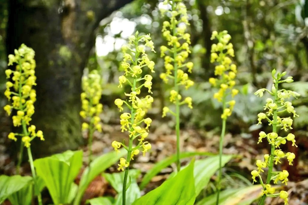 断捨離中ページ 断捨離】紙ゴミの中から出てきたすごいモノとは？ | 暮らしを