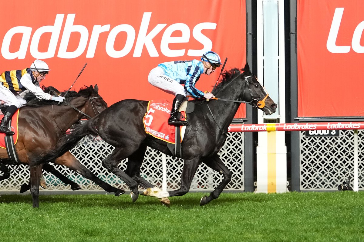 Onesmoothoperator has been penalised 1kg for next week’s $10 million Lexus Melbourne Cup after his impressive win in the Group 2 Ladbrokes Moonee Valley Gold Cup, with the British raider now set to carry 53kg at his second start in Australia’s most famous race.

READ |