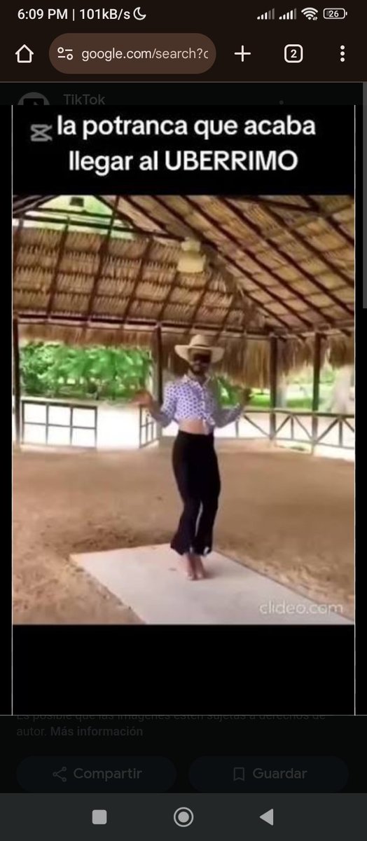 ALTER AI SOFTWARE LAB tweet media