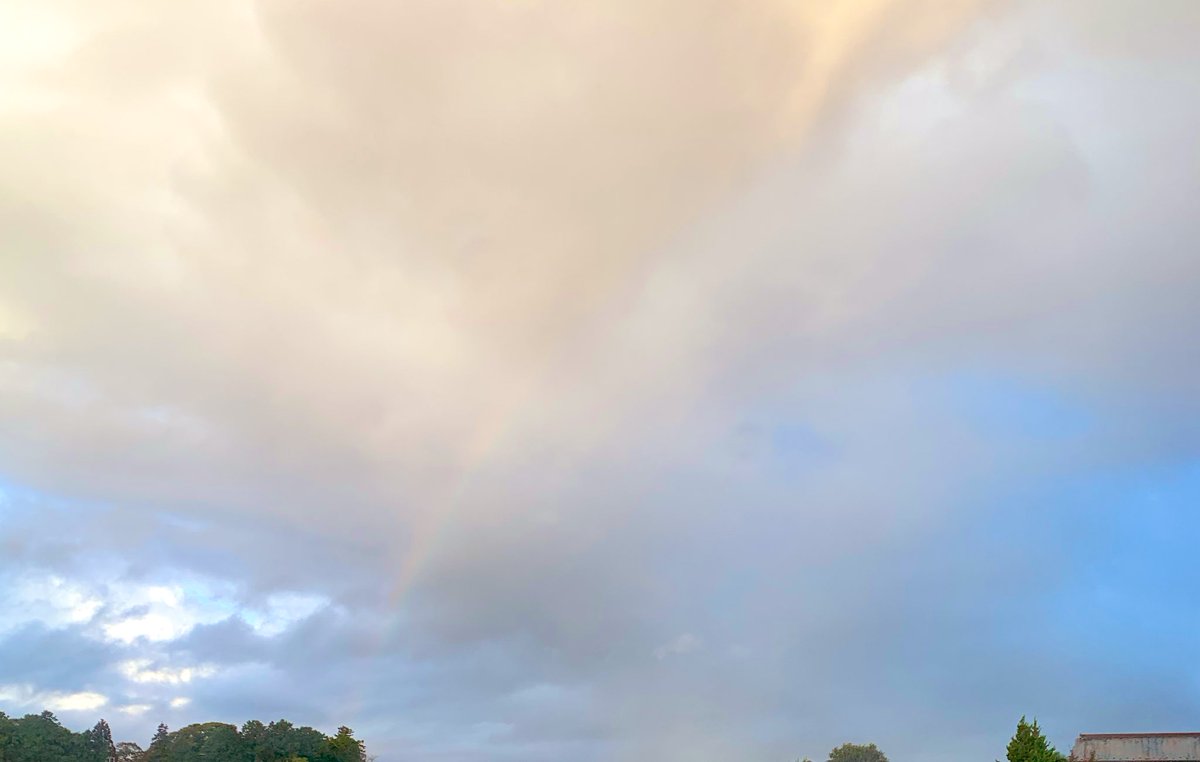 sora86863075's tweet photo. 朝からうっすら虹🌈出てた👏
最近雨ばかりだし寒いしお外猫さんたちが心配。
風邪ひかないで元気に過ごして欲しいなぁ
今日も程々に頑張ろ🙌 https://t.co/2XdJF7kjvo