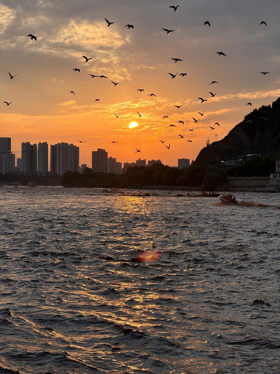 c_Delight_c's tweet image. When you manage with dedication, every day is a peak season.
When you treat it carelessly, every day feels like the off-season.
Satisfaction has no limits, and effort never stops