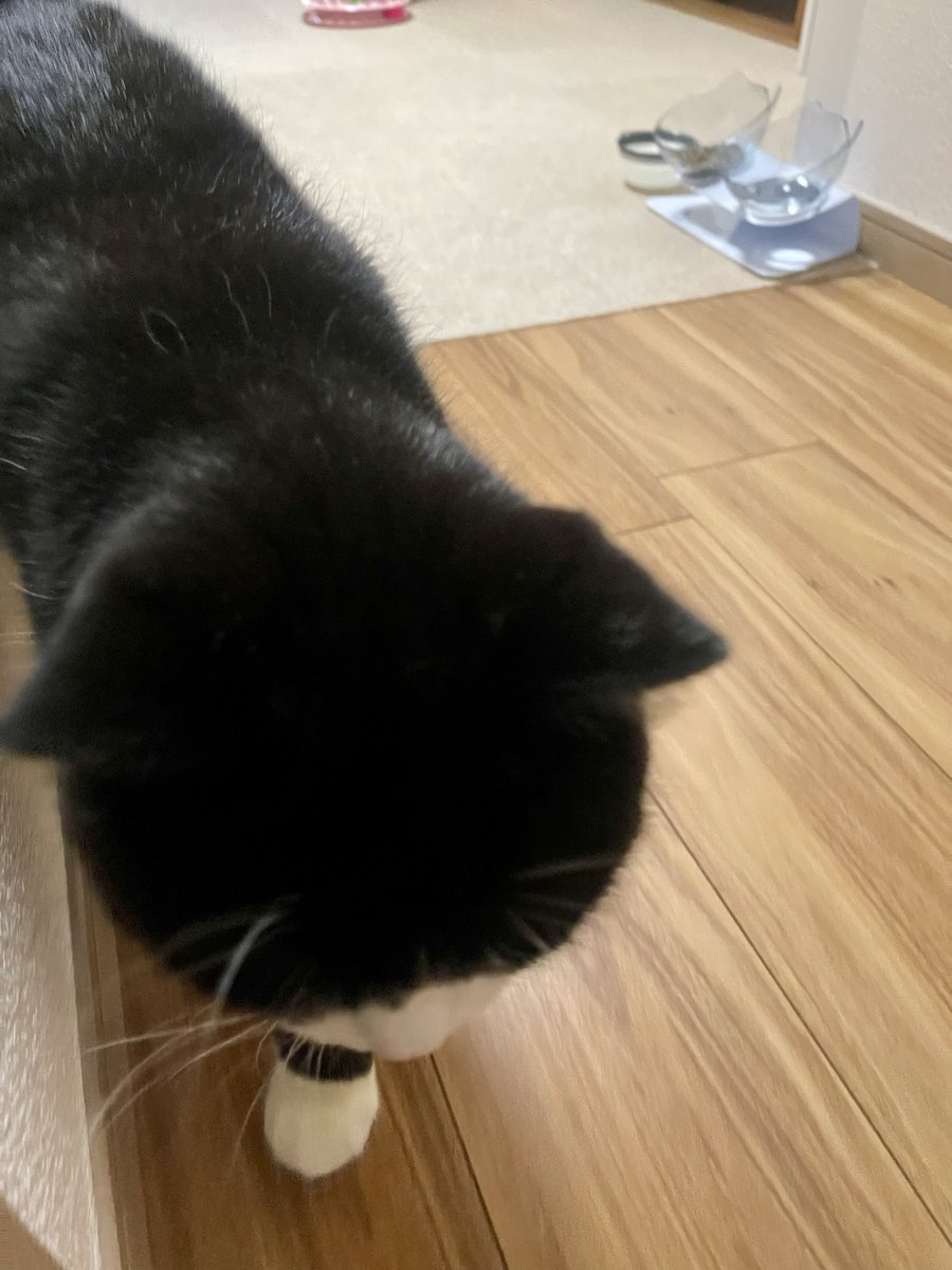 たろう (@taro20216) / Posts / X