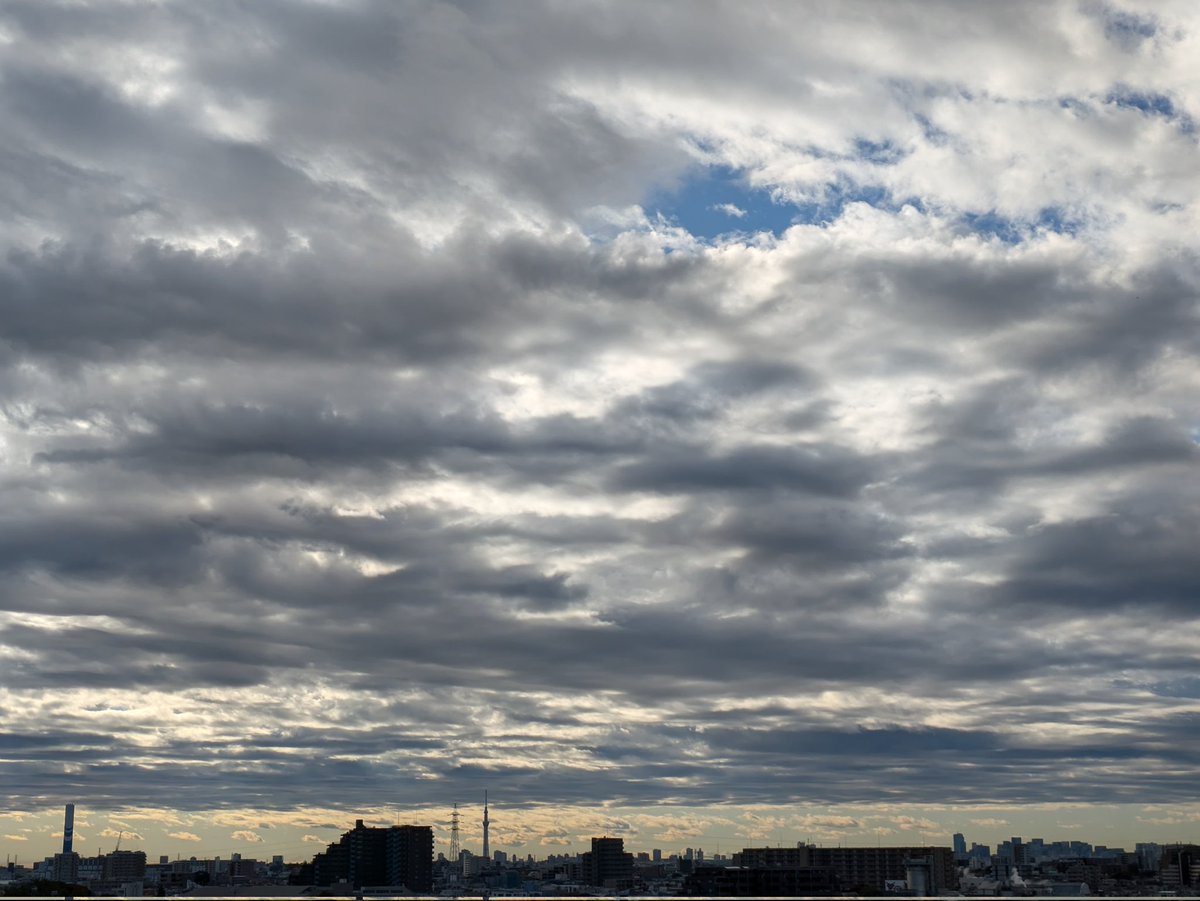 naonao　計４枚 Wild One 42mm Blue | NORQAIN Swiss Made Watches | Discover