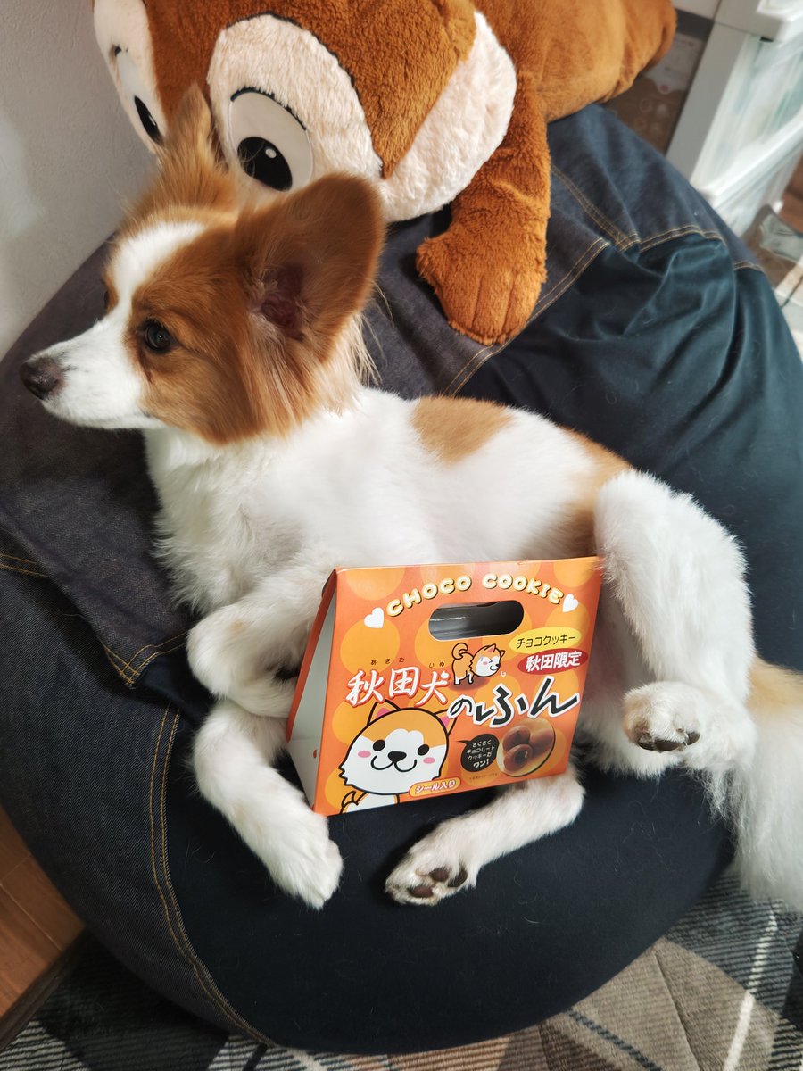 ੯‧̀͡u\様 Подшипник 8604678 купить в СнабАвто по низким ценам