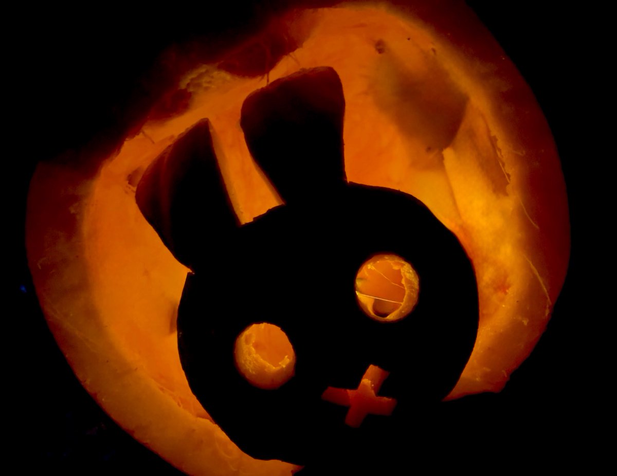 My Pumpkin Buni ! 🐰🧡

#NationalPumpkinDay #pumpkin #bunny #Halloween