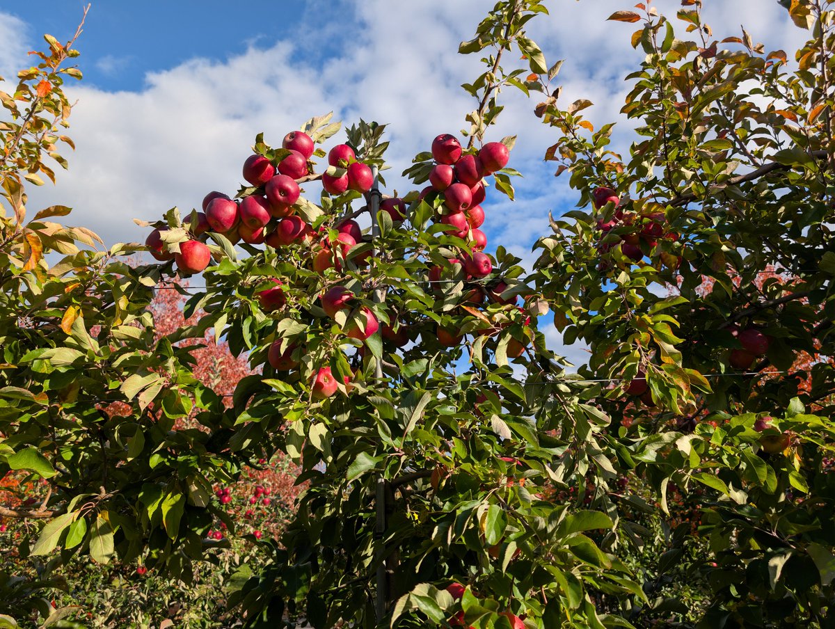 Touched grass this weekend
