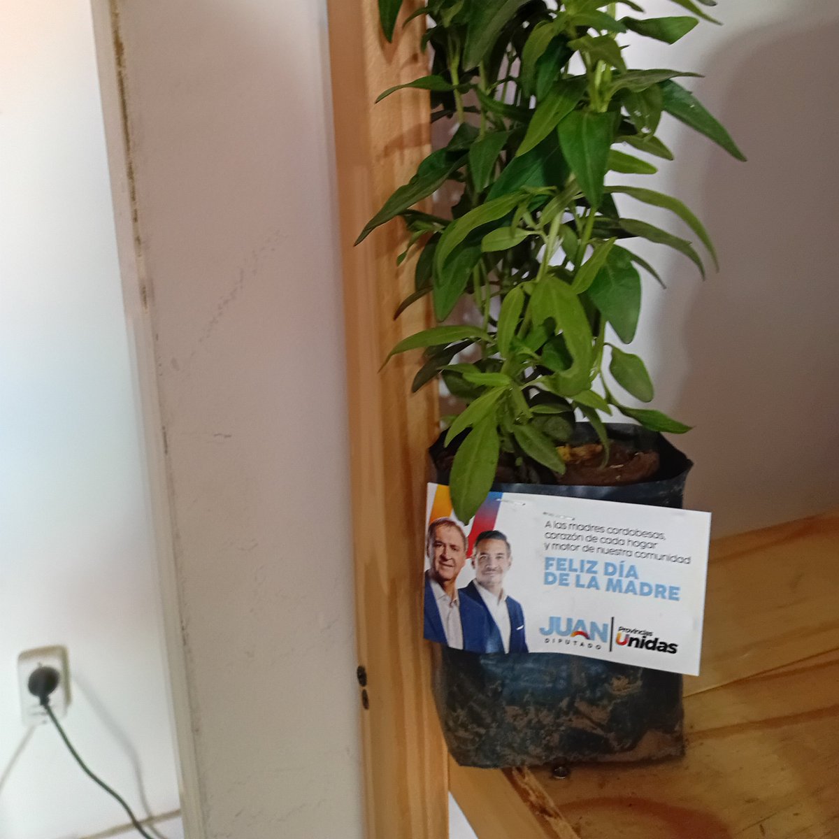 SabattinideCba's tweet photo. Para q sepan...no alcanzaron los plantines de Siciliano , ni los " regalos"a las escuelas de Scrotto,ni la plata q regalaron...
Córdoba está harta del peronismo,  asfixia... https://t.co/q1UTu1jSeM