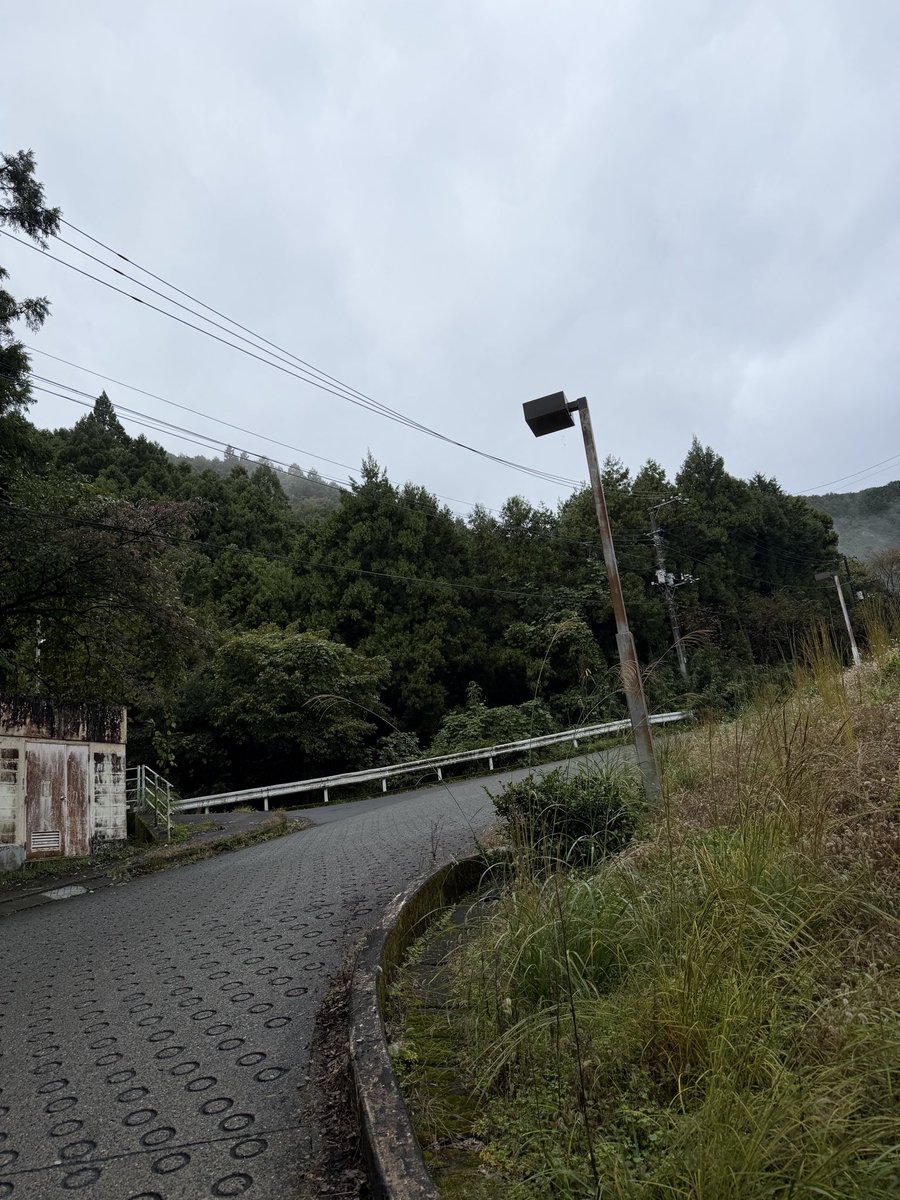 蒼いキリン Amazon | おり釣具 青物キリング Type-C 195 100号／150号 (ori