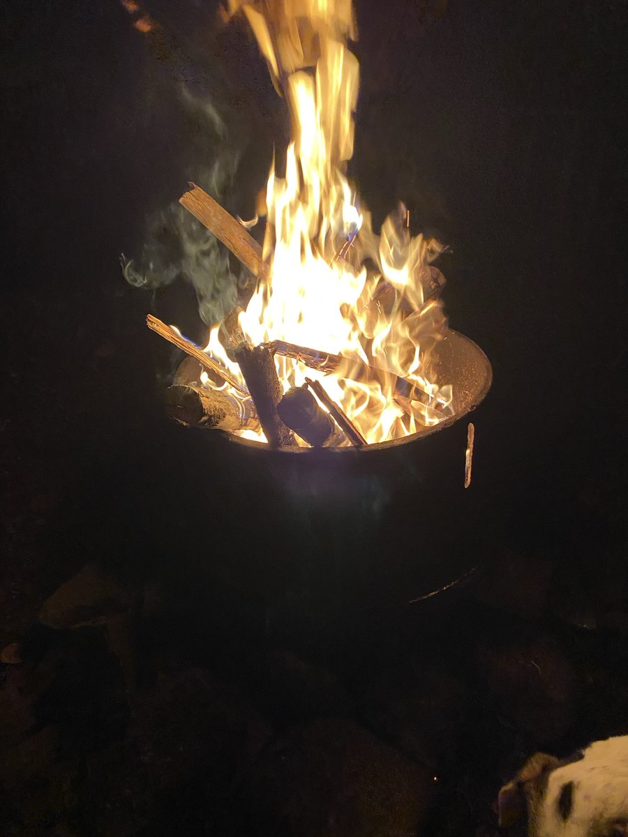 sparkydearly's tweet photo. My favorite thing to do https://t.co/Ss9oCpLRVv