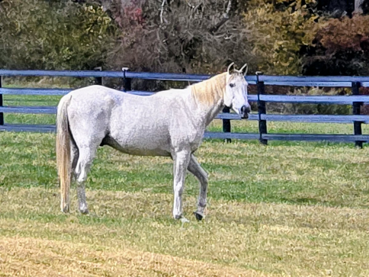 Dave Liedtka tweet media