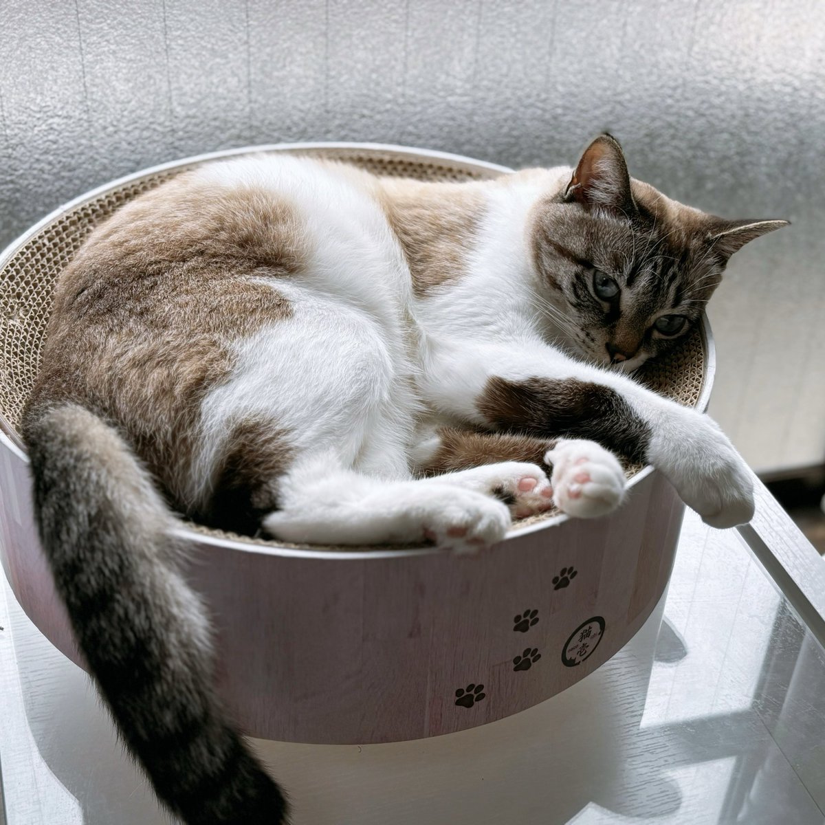 天使👼こめ (@0818kome) / Posts / X