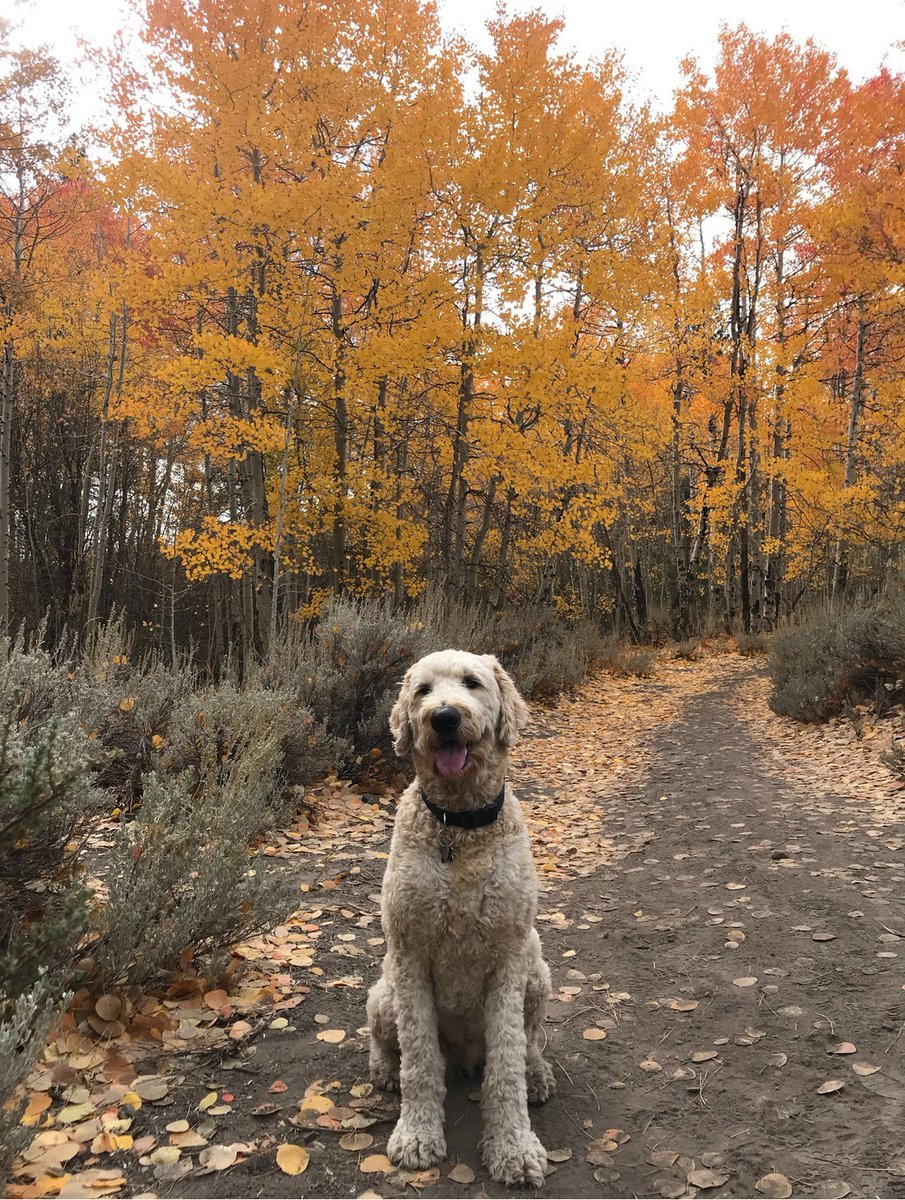 nh1ogan's tweet photo. Fall is in the air (I took this no big deal) https://t.co/Uw1e2xsO5q