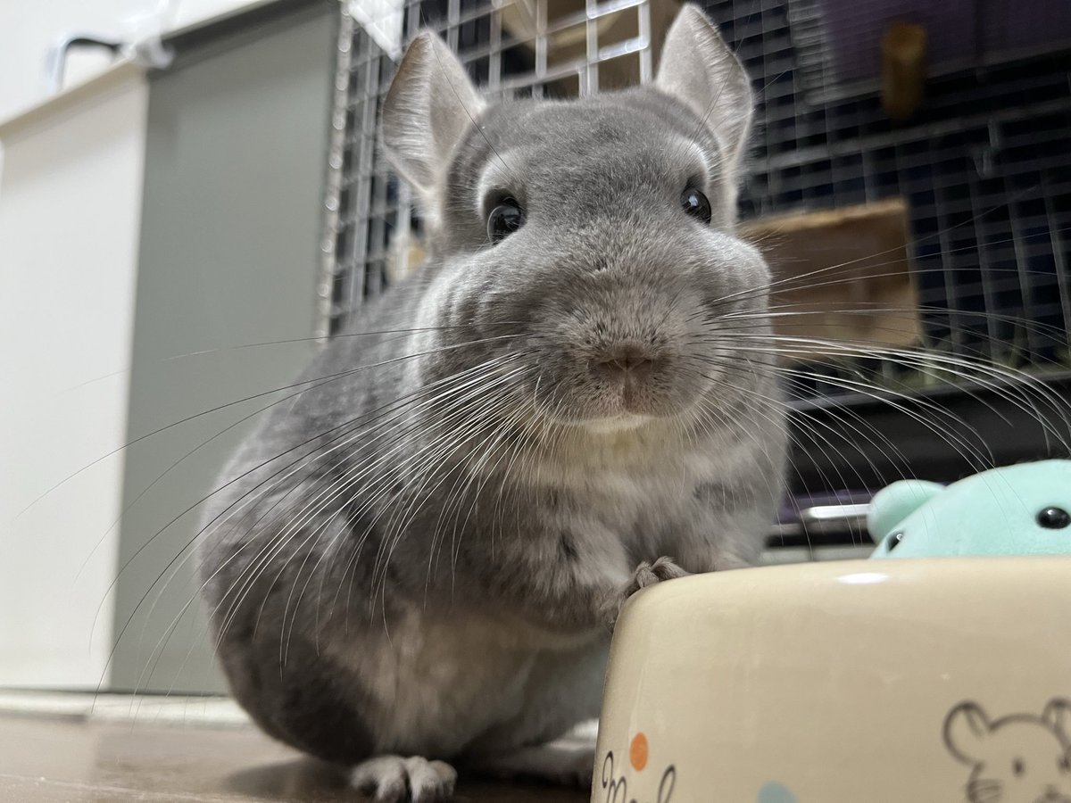 みちみち 仙台市荒浜・藤塚地区の迂回路について、みちのくトレイルクラブ