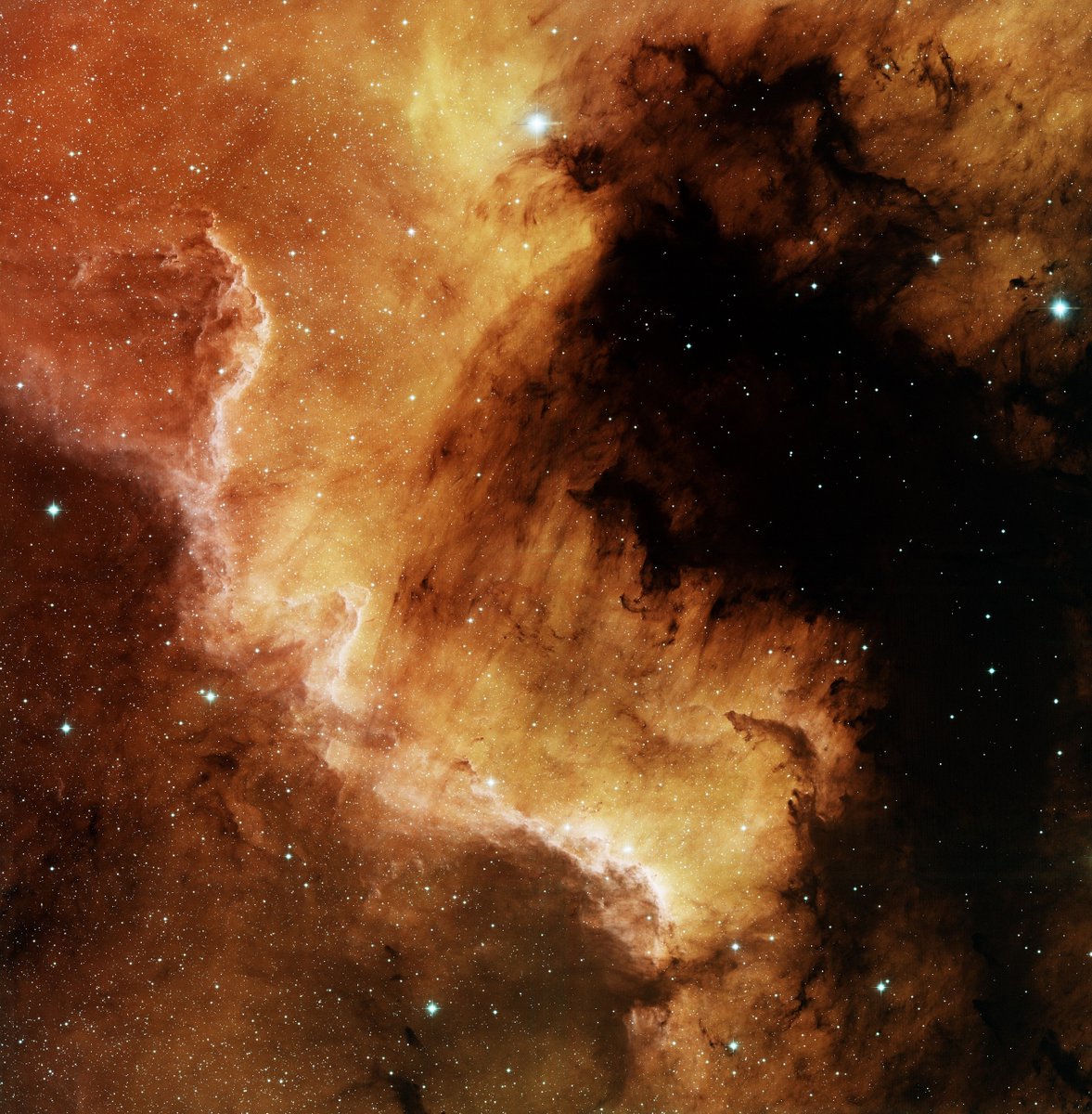 WorldAndScience's tweet photo. A spectacular, giant emission nebula in the constellation of Cygnus known as the North America Nebula.

(Credit: T.A. Rector (University of Alaska Anchorage) and NOIRLab/NSF/AURA) https://t.co/vmfqudvKIR