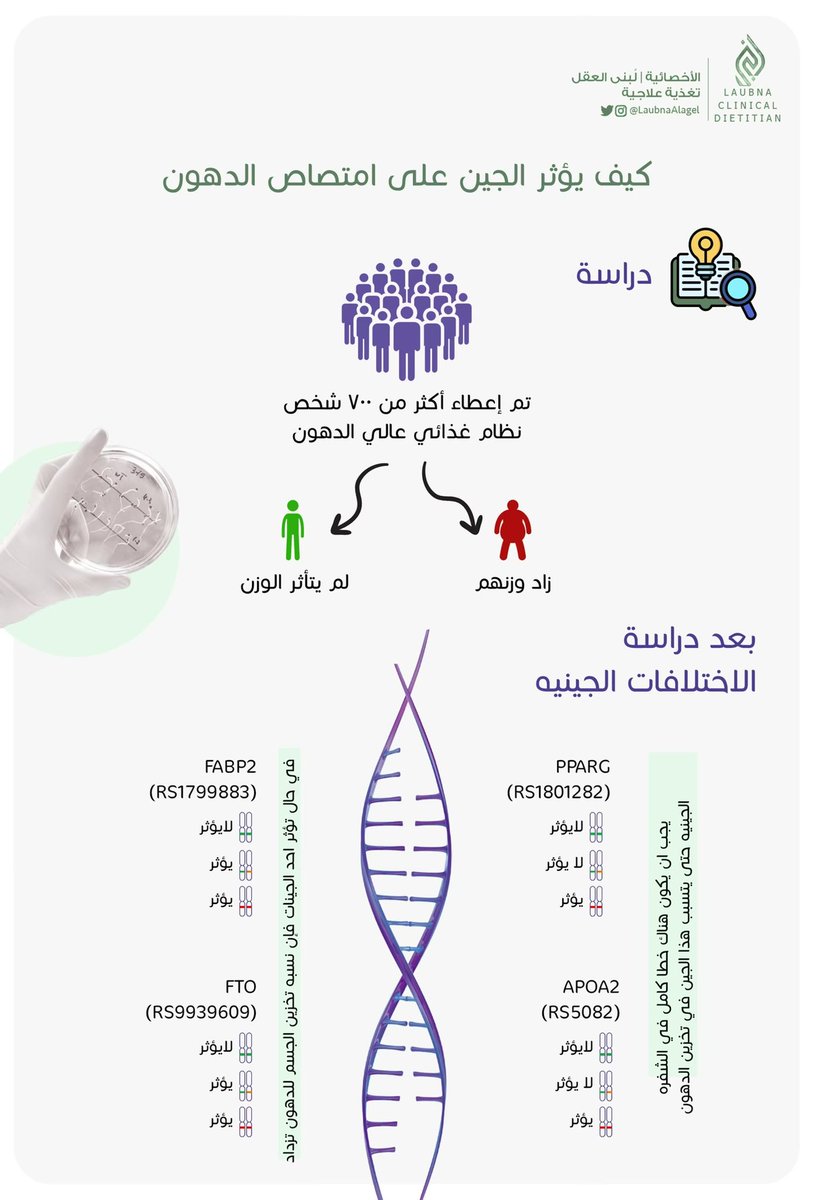 Laubna_'s tweet photo. 💡: التحليل الجيني في هذا الوقت يساعدنا نفهم عمل أجسامنا أكثر وأكثر 

في بعض الأحيان: نلتزم بنفس النمط الحياتي مع الأشخاص اللي حولنا لكن نجد ان استجابه جسمنا لزياده او ثباتيه الوزن تختلف من شخص لآخر 
في هذا البوست تكلمت عن الجينات الي تلعب دور في استجابه جسمنا لأطعمه الدهنيه 
.
. https://t.co/LGph9PWG9O