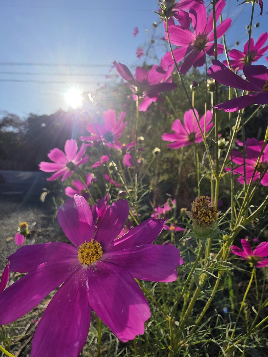 まゆ (@6XmGWa99dVCVGLo) / Posts / X