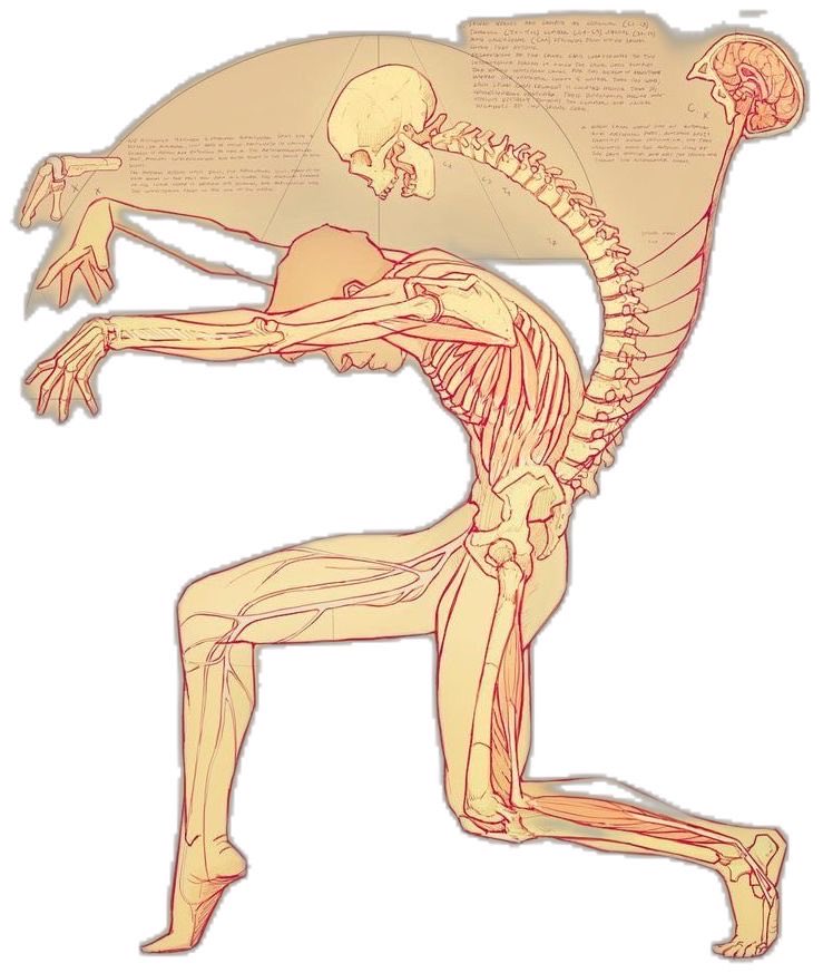 Oren Gottfried, MD tweet media