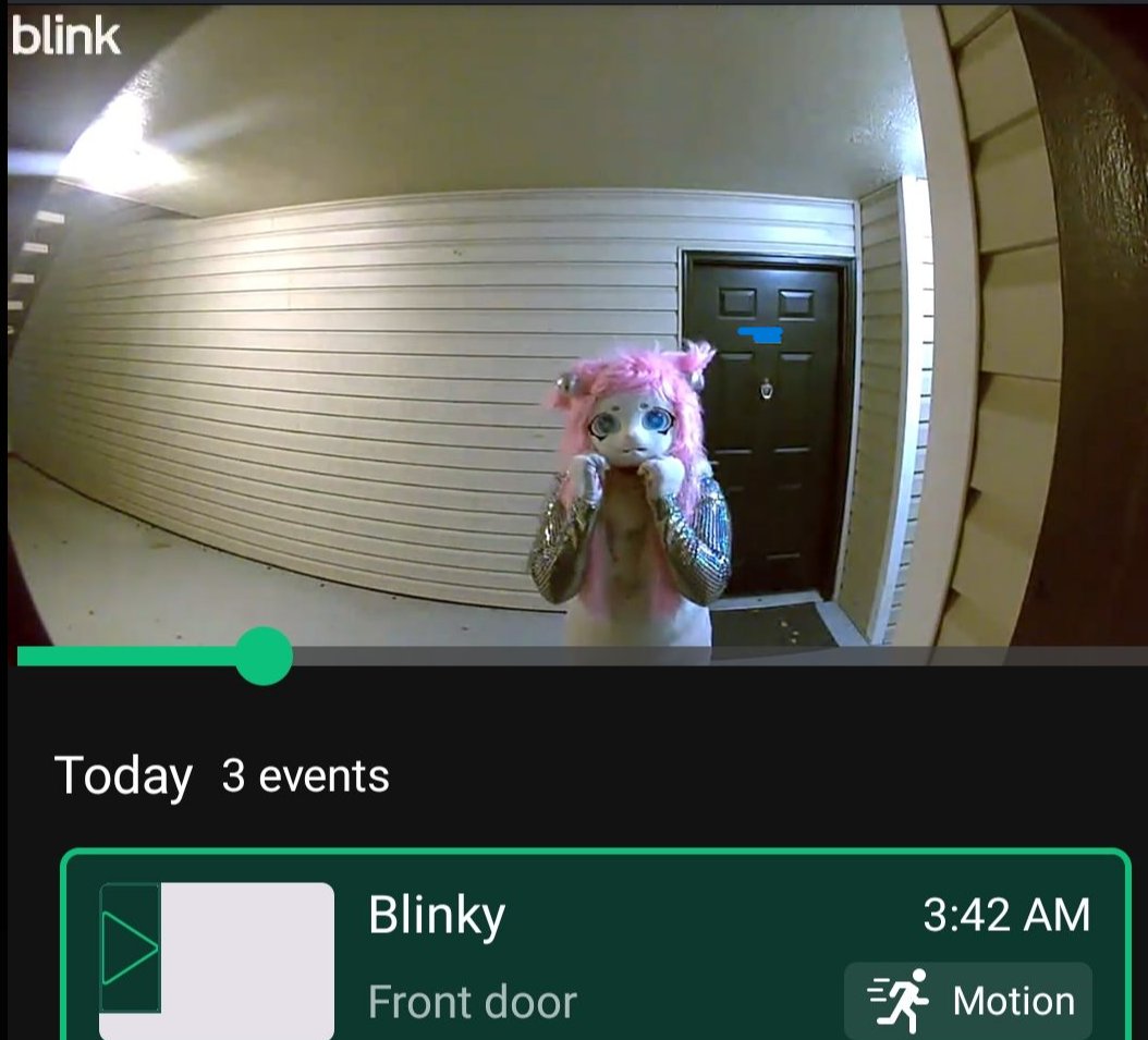 Someone rang my doorbell at 3:42am and just stood there for a few seconds then left. 
LOL