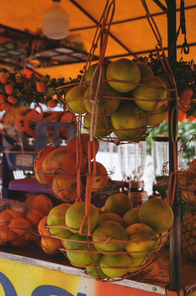 📍El Carmen de Bolívar, en los Montes de María, es uno de los municipios más representativos del departamento de Bolívar. Su economía se basa en la agricultura, con cultivos como aguacate, tabaco, ñame, ajonjolí y yuca. 🌾
📸: Julián Hernández
#Bolívar #fotografia #Colombia
