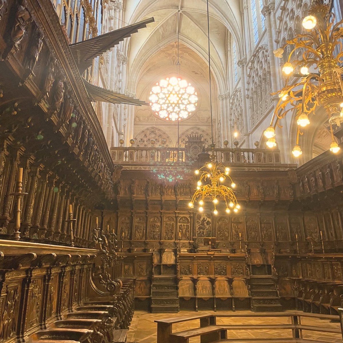 NExSpain's tweet photo. Golden Gothic. Afternoon western sun. 13th c. cathedral. ancient feeling light,  warmth of the 16th c. walnut wood choir collaborating in creating a golden air. #gothicarchitecture #architecture #history #UNESCOworldheritage #NorthernSpain #customtours #privatetour https://t.co/5klySgVVxJ