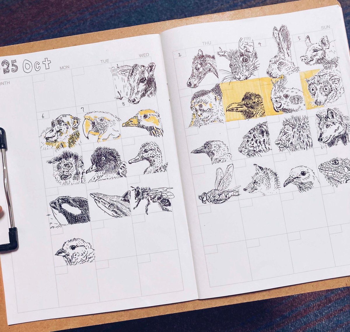 AIが絵をつくる時代だからこそ、手書きの価値が高まると予想してます。

そこで始めたペン画カレンダーがいい感じ。

・1マスが小さいから挫折しない
・毎日続けると絵が上達する
・マス埋めていく達成感がヤバい
・朝の創作活動で脳が覚醒