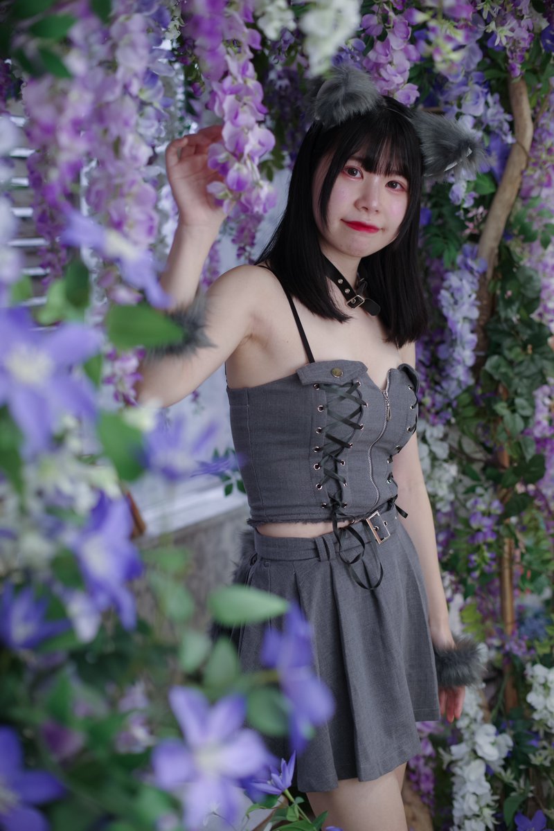 カット苗✨ピンクオパリナ錦❤️ Pickup 全ての商品 – 植物家族