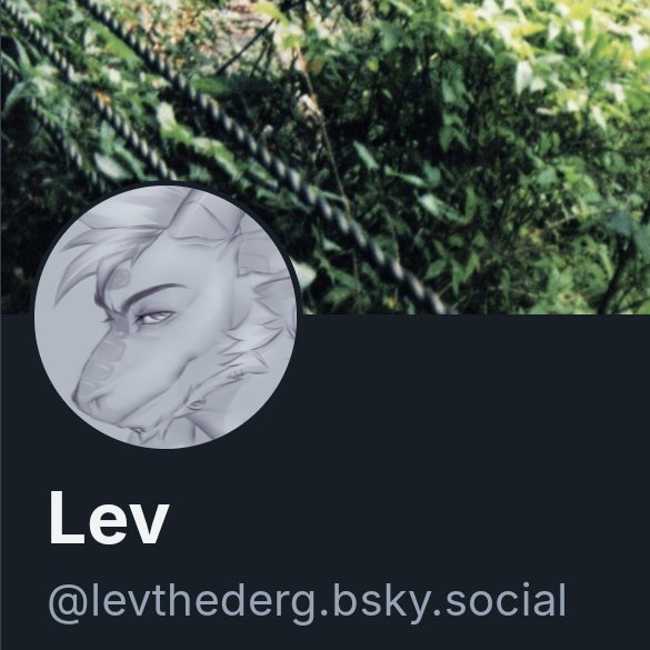 Lev ☕ tweet media