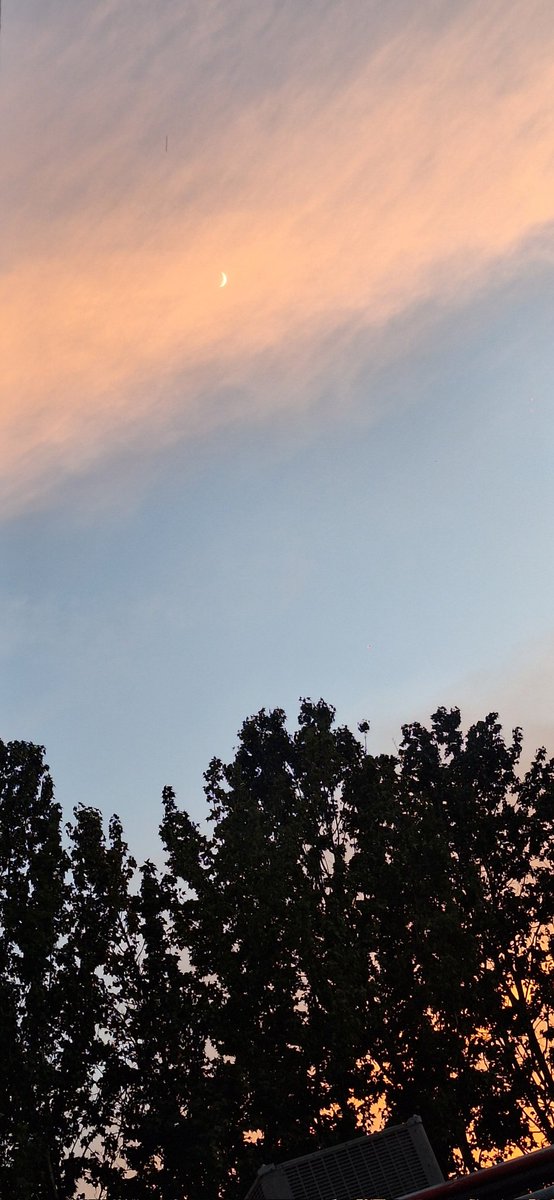 Ya empieza la temporada donde me encantan este tipo de atardecer ✨️