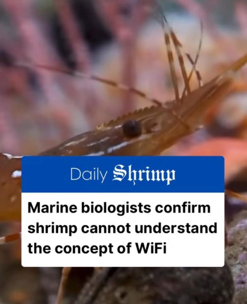 Respectful Memes (@respectfulmemes) on Twitter photo 