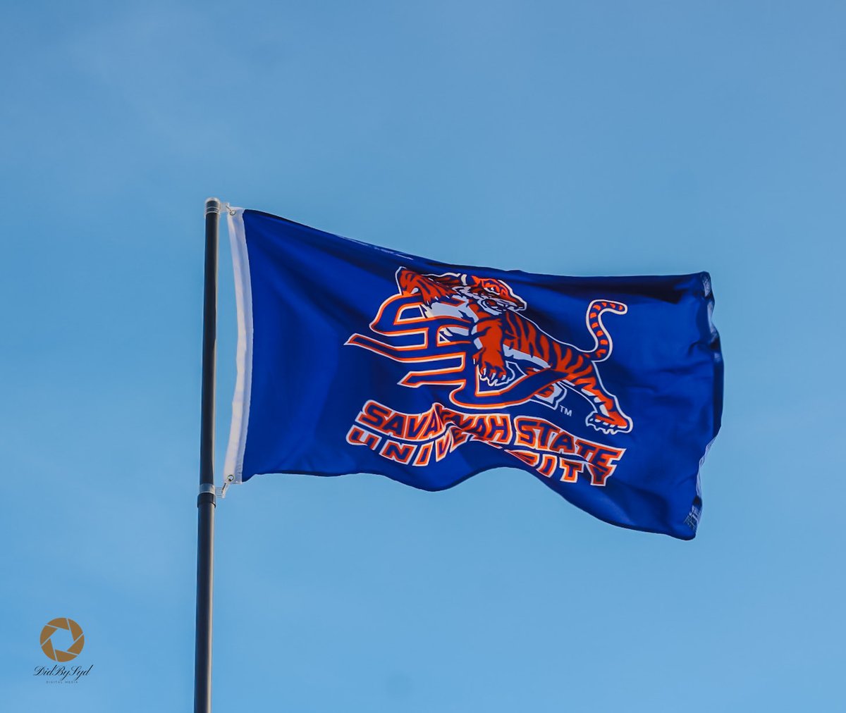 DidBySyd Digital Media tweet media