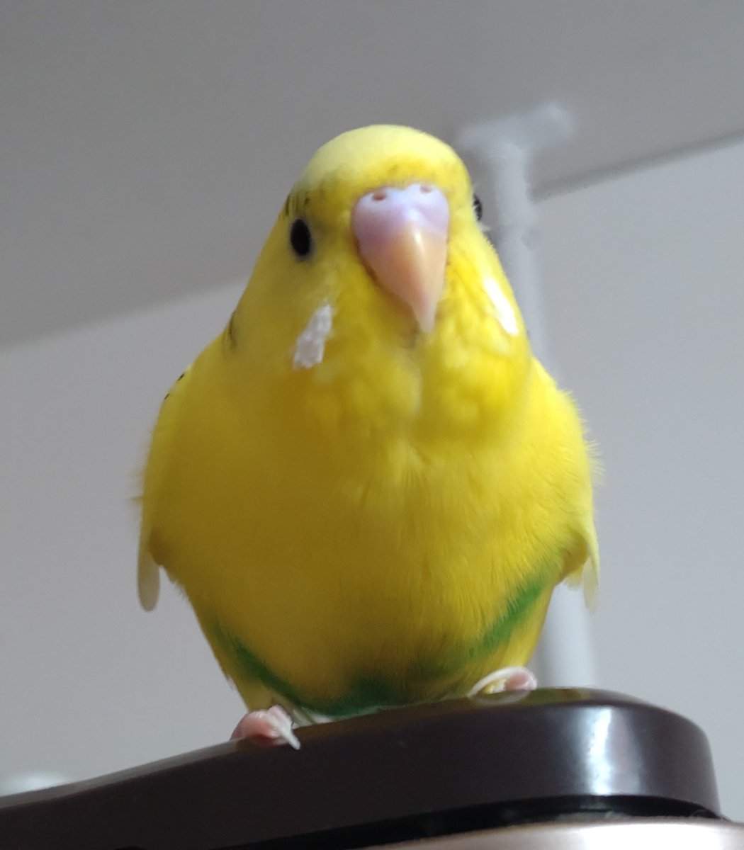 おはようございます😊

土日もお心遣いありがとうございました🙏💞マラソン残りも楽しみましょうね🥰

朝イチから玄関の掃除して、後回しにしてた夏用のサンダル洗いました〜！そろそろ片付けないとまずいなと🤭

今日は、姿勢改善のレッスン受けて身体を整えてきます✨

今週もよろしくお願いします🐦