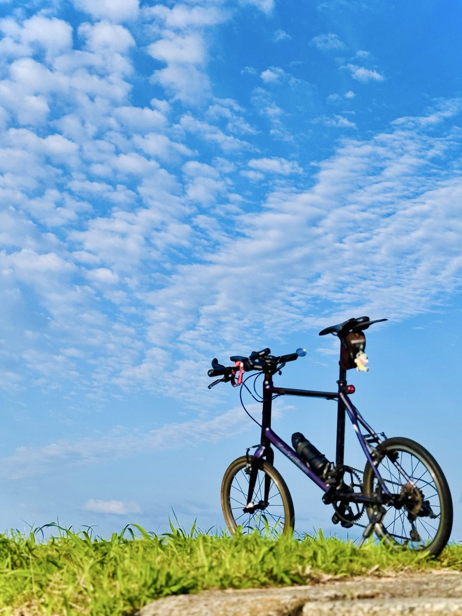 あんり☆安心、丁寧、誠実にスピード対応☆　アメリ×ストゥーディオス Amazon.co.jp: 【Amazon.co.jp限定】ANRI Deluxe Edition