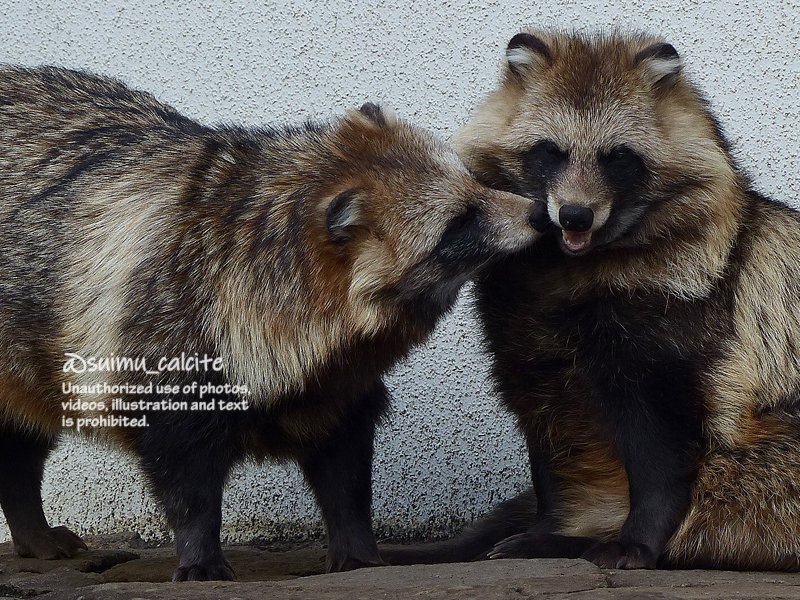 すーさん@誤字多め on X