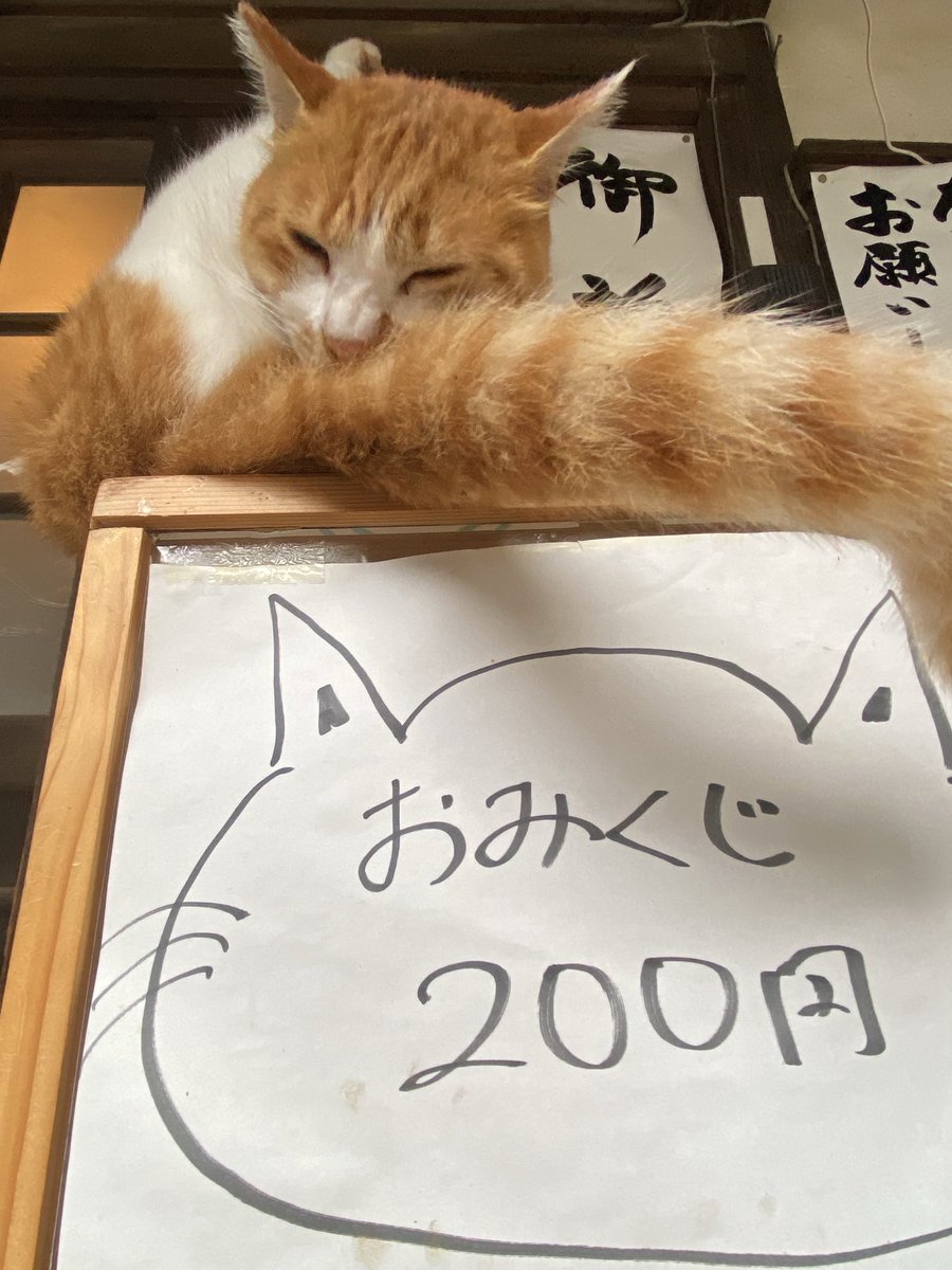 小鳥さんがお友達☆病弱おスカルちゃん (@oskull69moshpit) on Twitter photo 招き猫でおみくじ引いの番猫🐱⛩✨️
神社「このコ3歳🐱何故か?おみくじ箱の上ばかり居て🐱おみくじ引いしたい参拝者が退かすの可哀想だから退くまで待ってたんですよ……」って(笑)
人間よりキッチリと仕事しとる🐱(笑) 招き猫でおみくじ引いの番猫🐱⛩✨️
神社「このコ3歳🐱何故か?おみくじ箱の上ばかり居て🐱おみくじ引いしたい参拝者が退かすの可哀想だから退くまで待ってたんですよ……」って(笑)
人間よりキッチリと仕事しとる🐱(笑)